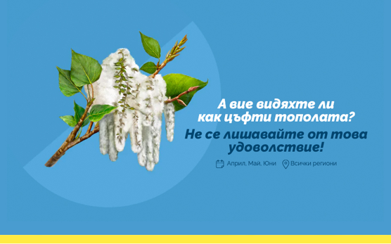 ПРОГНОЗА ЗА ПОЛЕНИ